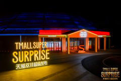 从头定大促期间品