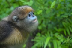 <strong>都为可量化、可累</strong>